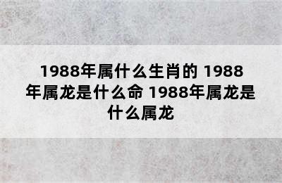 1988年属什么生肖的 1988年属龙是什么命 1988年属龙是什么属龙